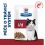 Hill's Prescription Diet i/d P&eacute;če o zaž&iacute;v&aacute;n&iacute; kapsička pro kočky losos 12 x 85 g