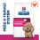 Hill's Prescription Diet Gastrointestinal Biome Mini P&eacute;če o zaž&iacute;v&aacute;n&iacute; 1 kg