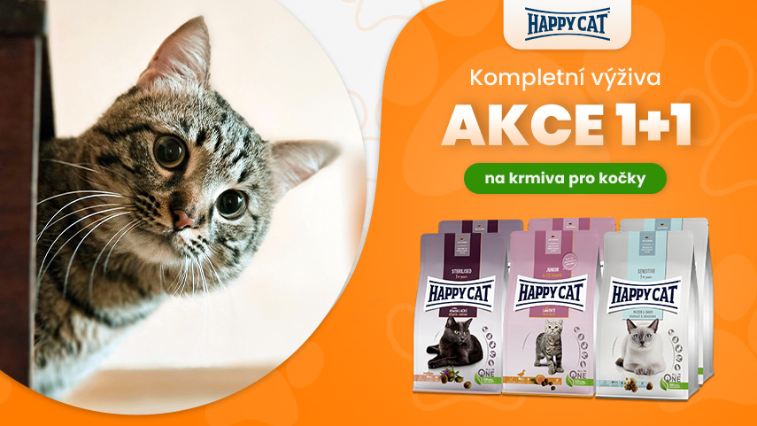 Happy Cat 1+1 zdarma