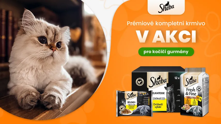 Sheba akce
