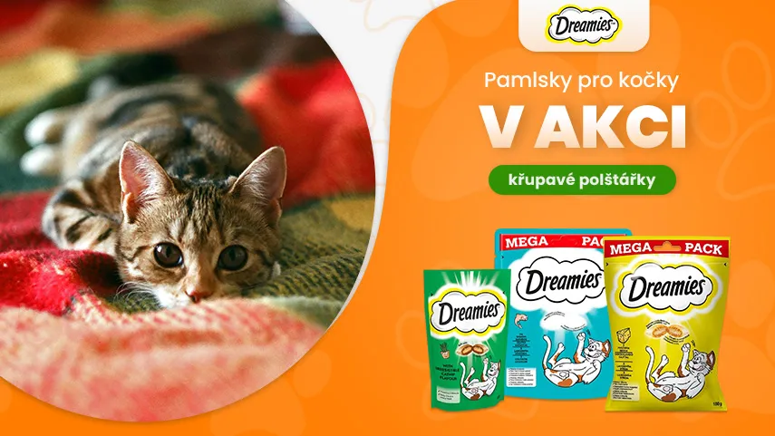 Dreamies v akci